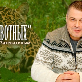 "О животных" с Иваном Затевахиным