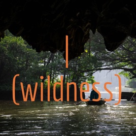 のらコトバ辞典 | 野性(wildness)を思い出すヒント集