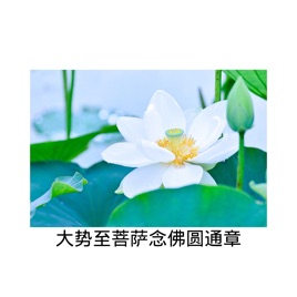 《大势至菩萨念佛圆通章》辅导