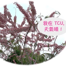 我在TCU,天氣晴!