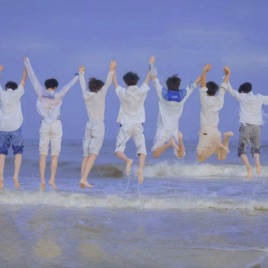 TF家族