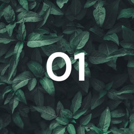 01