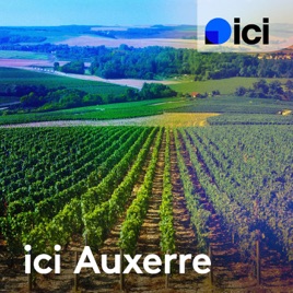 100% Sport, la chronique, ICI Auxerre
