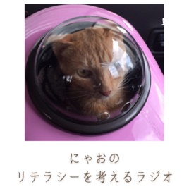 にゃおのリテラシーを考えるラジオ