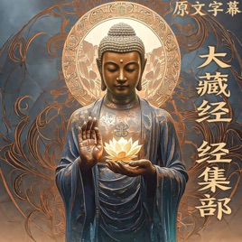 《大藏经》经集部 直译白话文 收录400余部佛经