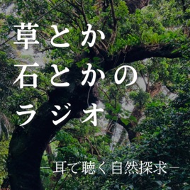 草とか石とかのラジオ 〜耳で聴く自然探求〜
