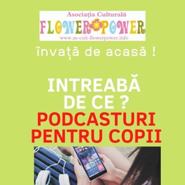 Intreabă de ce