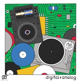33DJ