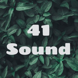 41 Sound