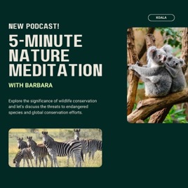 5-Minute Nature Meditation