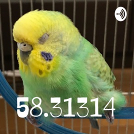 58.31314