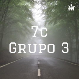 7c Grupo 3