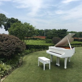 我在线听小说