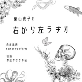 柴山斐子の右から左ラヂオ
