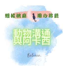 用心聆聽-動物溝通🐱😽與阿卡西紀錄