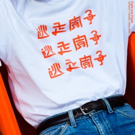 逃走闘争
