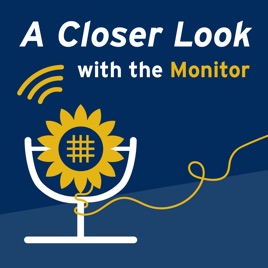 A Closer Look with the Monitor