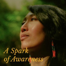 A Spark Of Awareness