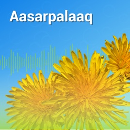 Aasarpalaaq 2025, KNR
