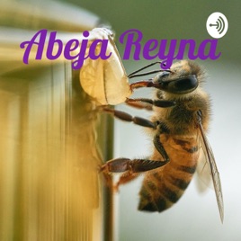 Abeja Reyna