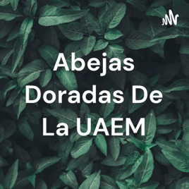 Abejas Doradas De La UAEM