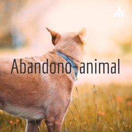 Abandono-animal