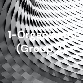 Ac1-Organizations (Group 2)