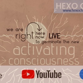 Activating Consciousness from HEXO Change