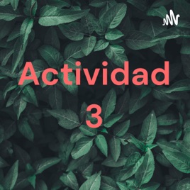 Actividad 3