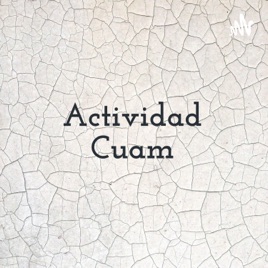 Actividad Cuam - Philip Kotler - Chávez