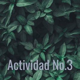 Actividad No.3