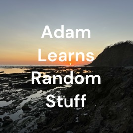 Adam Learns Random Stuff