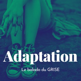 Adaptation