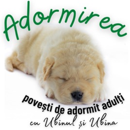 Adormirea
