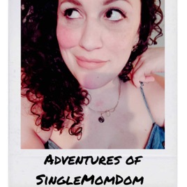 Adventures of SingleMomDom