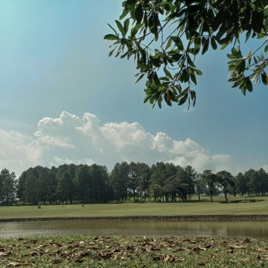 Afarizza Fahlevy_Kelompok'79_Rencana Masa Depan