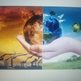 Afectaciones de las Industrias al Medio Ambiente