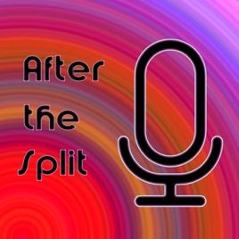 After the Split (Speedrun Podcast)