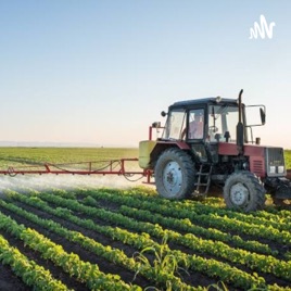 Agricultura 🚜