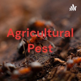 Agricultural Pest