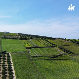 AgroBrasileiro