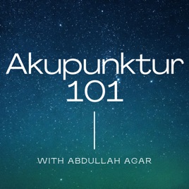 Akupunktur 101