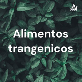 Alimentos trangenicos