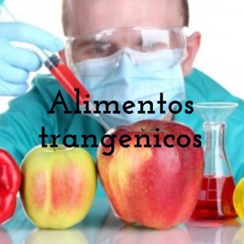 Alimentos trangenicos