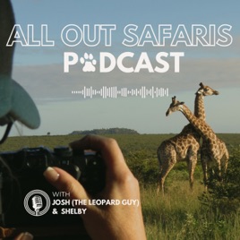 All Out Safaris Podcast