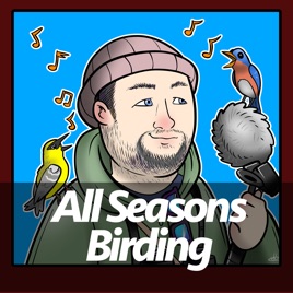 All Seasons Birding