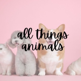 All Things Animals