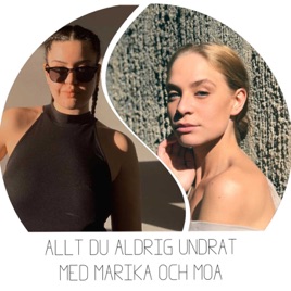 ALLT DU ALDRIG UNDRAT
