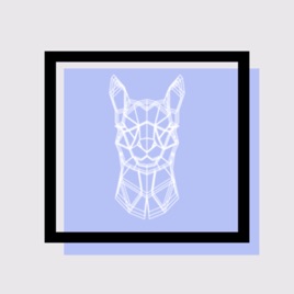 Alpaca