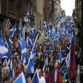 Always Yes - Scottish Political Podcast